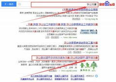 重庆虎普环保科技有限公司同我公司签署网站优化排名事宜