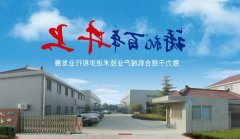 如皋市*上捏和机械厂网站建设公司参考网站