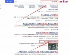 临邑龙*纺织有限公司网站建设平面设计案例作品